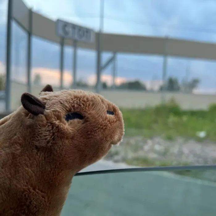 CapybaraPlush - 67% OFF Today Only